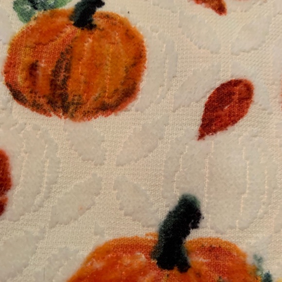 Kitchen towel with matching bar size cloth. 🍁 Like new - Picture 2 of 5